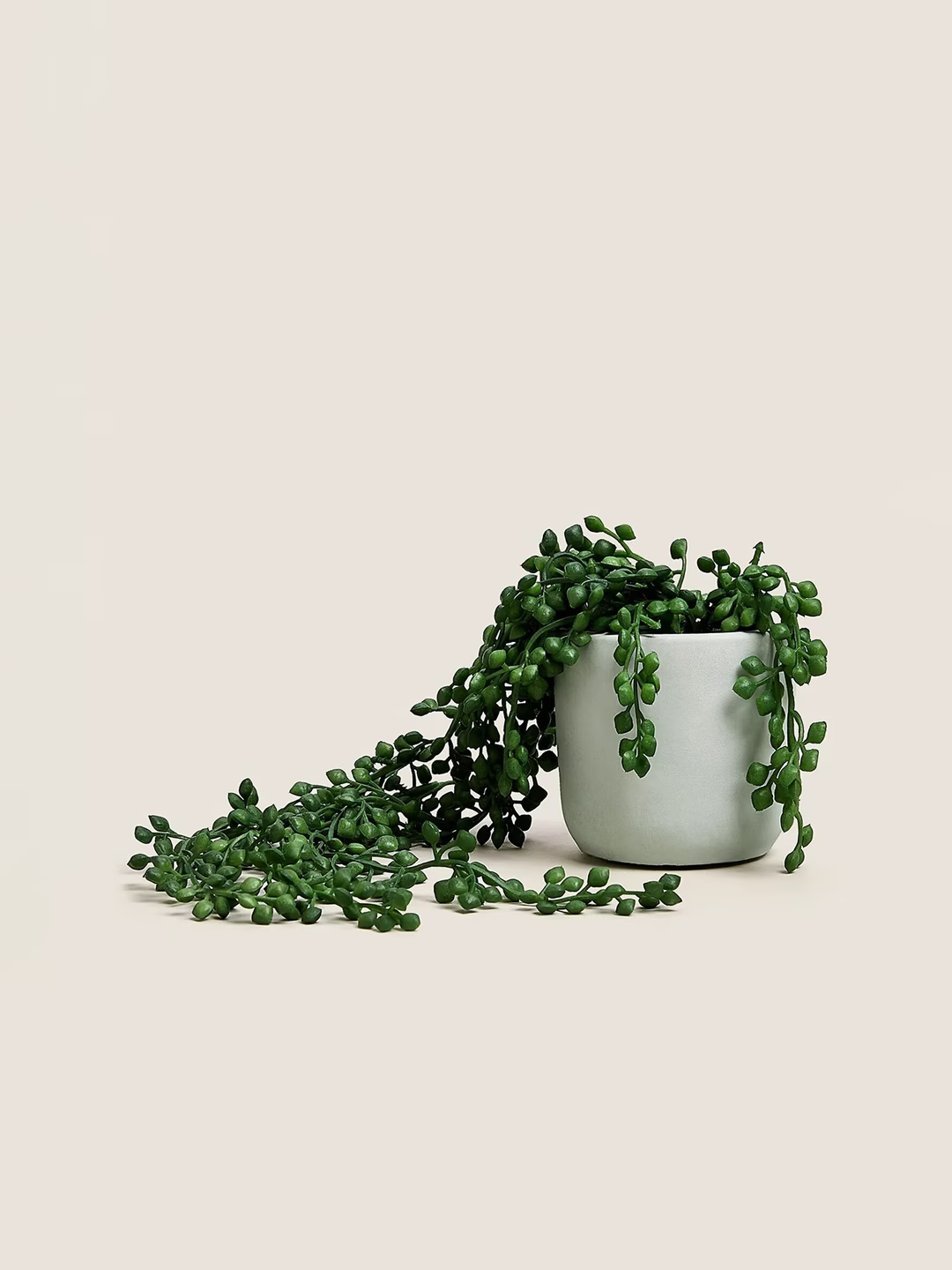 Green & White Artificial Plants With Pot