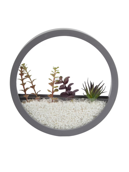 Grey Round Wall Hanging Glass Terrarium