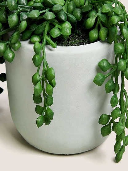 Green & White Artificial Plants With Pot