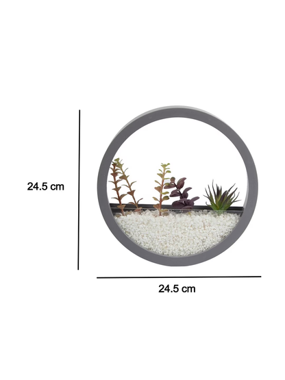 Grey Round Wall Hanging Glass Terrarium