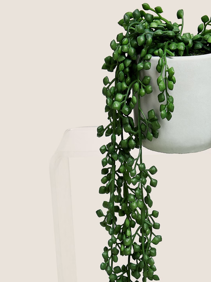 Green & White Artificial Plants With Pot